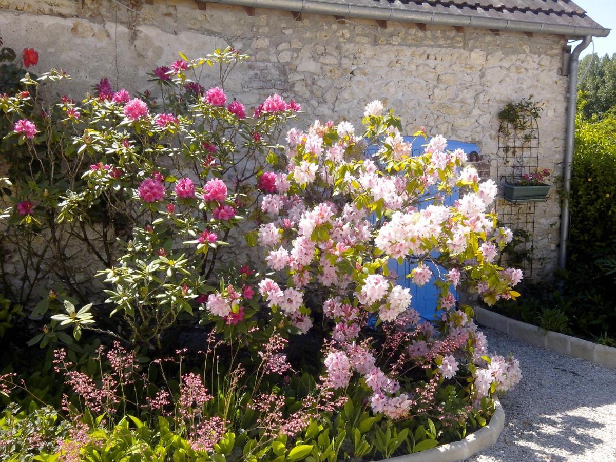 Les Hirondelles Bed & Breakfast อังแซ็ง ภายนอก รูปภาพ